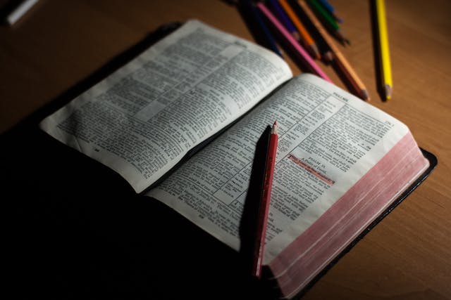 Biblia și enigmele ei: O călătorie printre pergamente